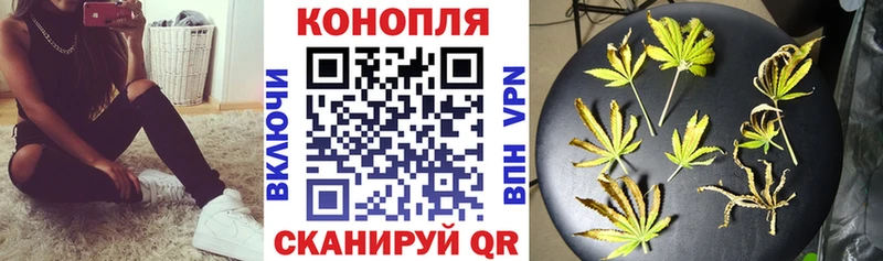 Марихуана план Купить Реутов